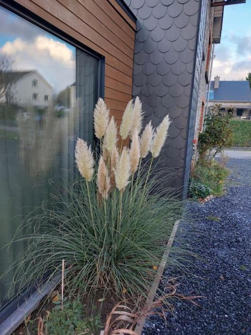 Le Reposoir Maison Spacieuse Avec Feu Au Bois Bertogne エクステリア 写真